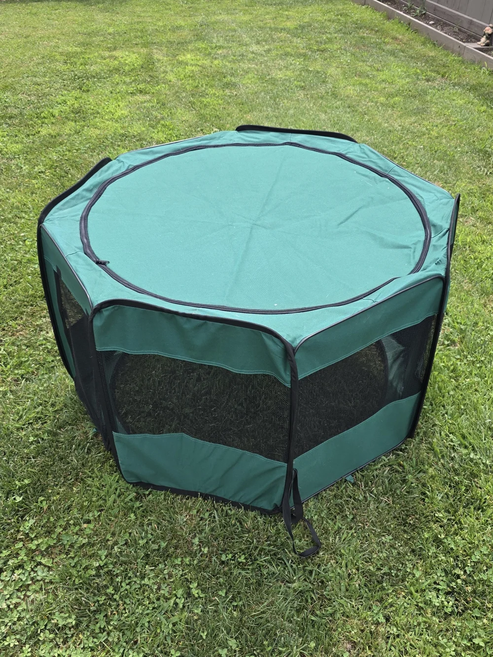 Green Portable Dog Playpen Carrier - Brand